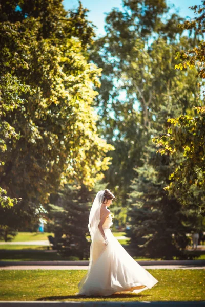 Die schöne brünette Braut bei einem Spaziergang im Park — Stockfoto