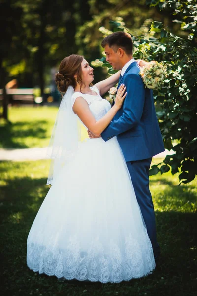 Couple groom and bride on a park background in full growth — Stock Photo, Image