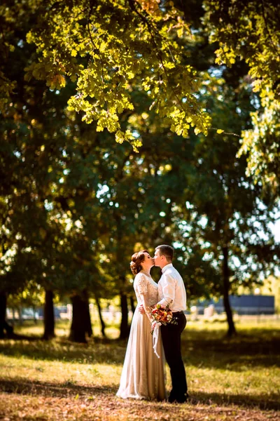 Gelin ve damat park ağaçlarının arkasında — Stok fotoğraf