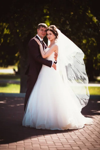 Jeune couple marié et la mariée sur le fond du parc . — Photo