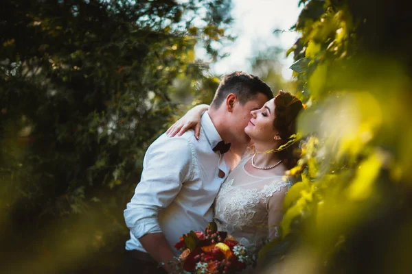 De bruid en bruidegom in het gebladerte van bomen — Stockfoto