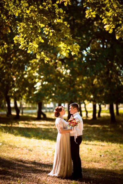 Los novios en el fondo de los árboles del parque —  Fotos de Stock