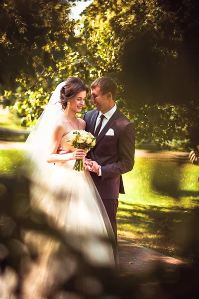 Jeune couple marié et la mariée sur le fond du parc . — Photo