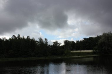 ağaçlar ve otlar ile güzel göl manzara