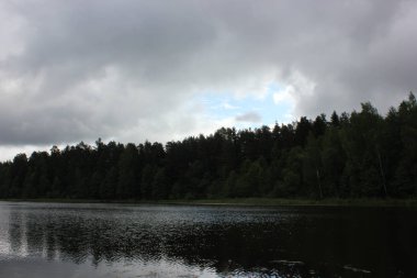 ağaçlar ve otlar ile güzel göl manzara