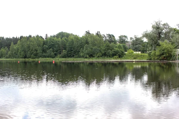 Vackra sjön landskap med träd och örter — Stockfoto