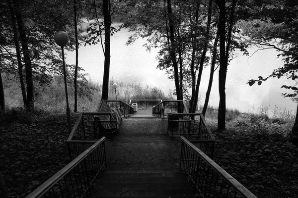 Siyah ve beyaz fotoğraf büyük merdiven göle inen — Stok fotoğraf