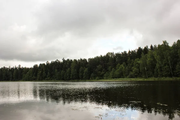 Hermoso paisaje del lago con árboles y hierbas — Foto de Stock