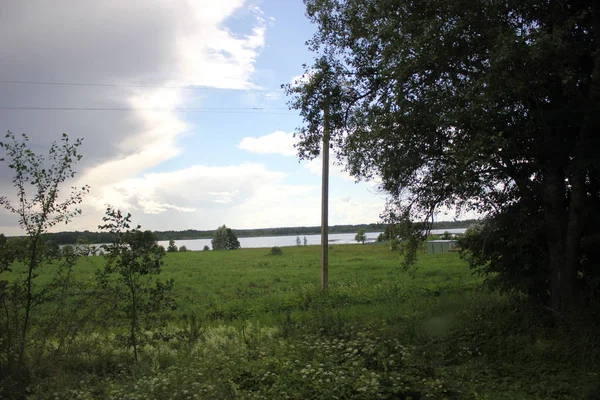 Äng med många blommor mot himmel och moln — Stockfoto