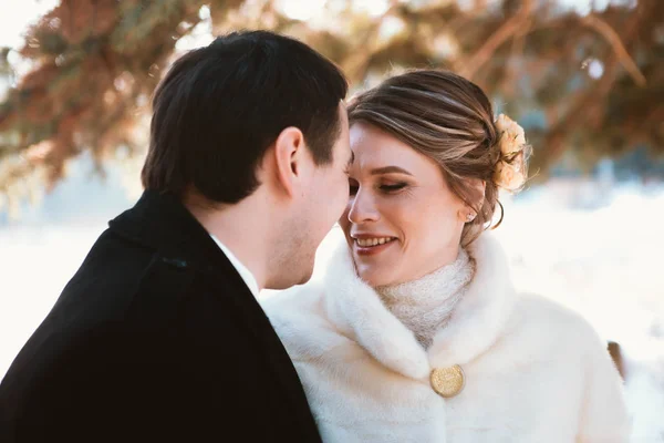 Ζευγάρι χειμώνα φωτεινό γάμου Νύφη και γαμπρός — Φωτογραφία Αρχείου