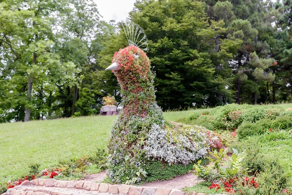 Łóżko kwiatów w arboretum w formie ptaka. — Zdjęcie stockowe