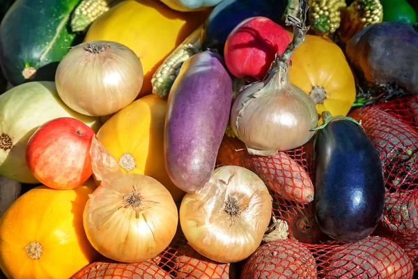 Récolte de légumes est vendu à la foire . — Photo