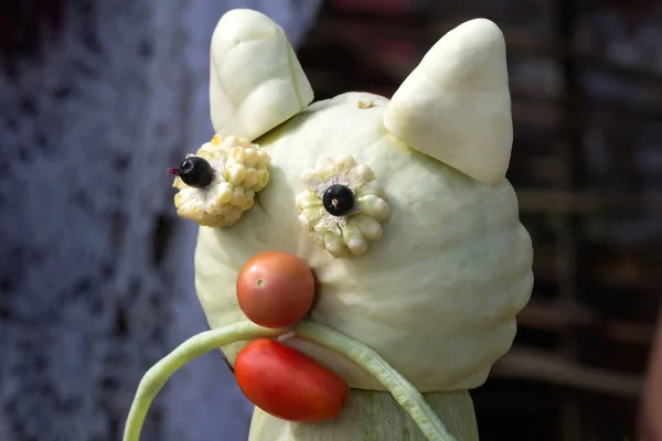 Figure head the cat out of the vegetables. — Stock Photo, Image