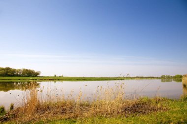 Büyük güzel bir göle, sazlık ile büyümüş bankalarla.