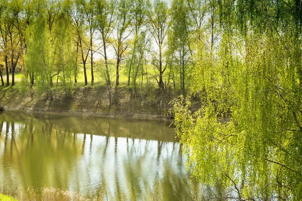 Grande lago bellissimo, con sponde ricoperte di foresta . — Foto Stock