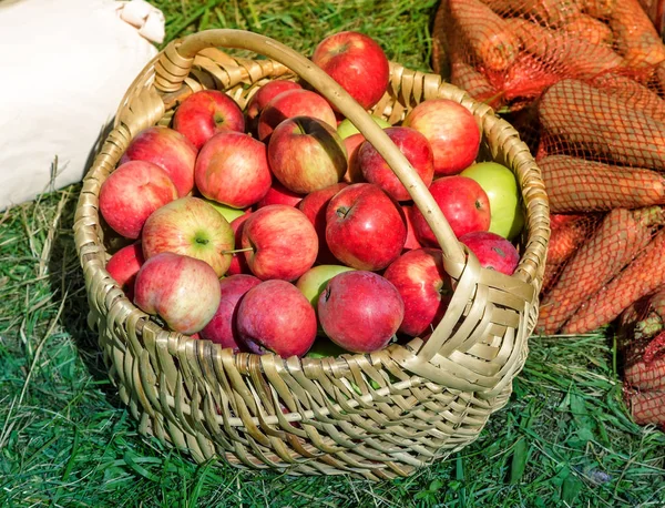 Яблоки в корзине продаются на ярмарке . — стоковое фото