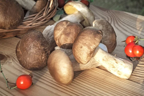 White strong mushrooms in a basket and on the table — Stock Photo, Image