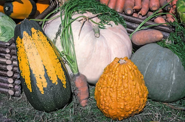 Plantaardige oogst wordt verkocht op de beurs. — Stockfoto