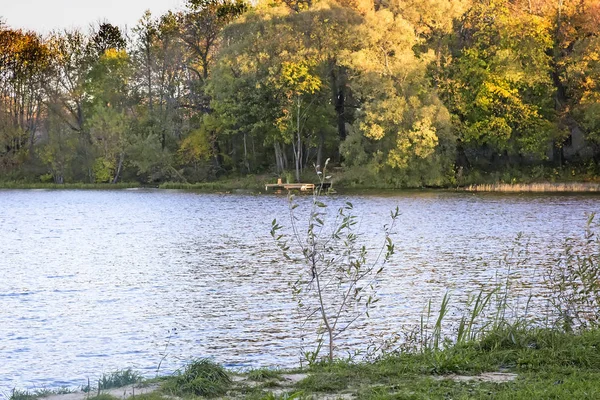 stock image The autumn wood on the bank of the big beautiful lake