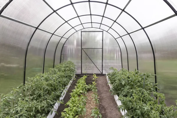 Una piccola serra per le piante agricole . — Foto Stock