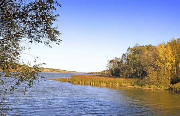 El bosque de otoño en la orilla del gran lago hermoso — Foto de Stock