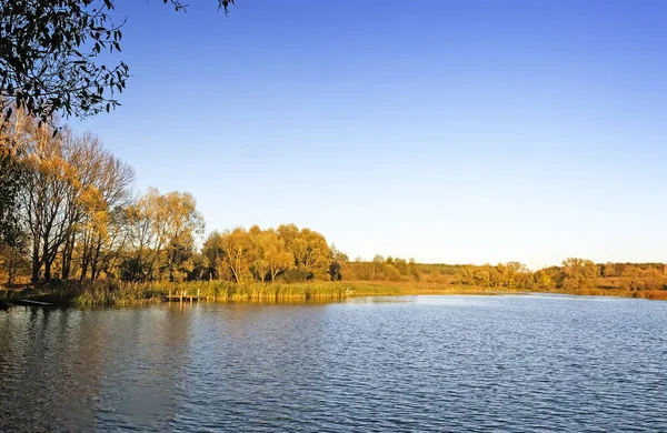 Höstens trä på packa ihop av den stora vackra sjön — Stockfoto