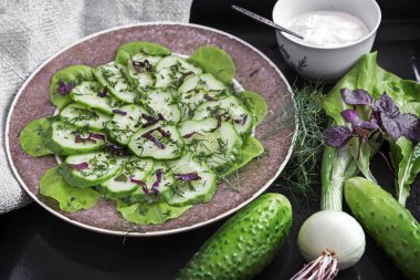 Taze salatalık ve yeşillikleri salatası.