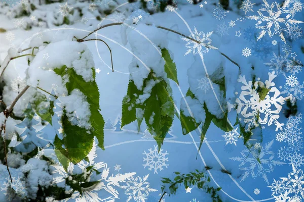 Natale immagine di sfondo . — Foto Stock