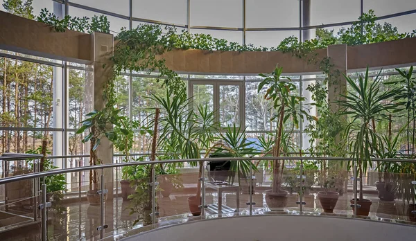 Mała szklarnia z roślinami w budynku. — Zdjęcie stockowe