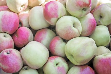 Büyük olgun elma, fotoğrafı yakın çekim.