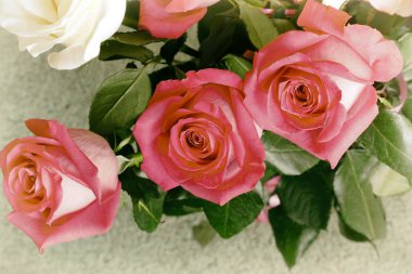 Güzel bir buket gül yumuşak pembe renk güzel bir arka planda sunulur..