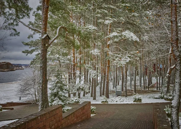 Winterlandschap in het park. — Stockfoto