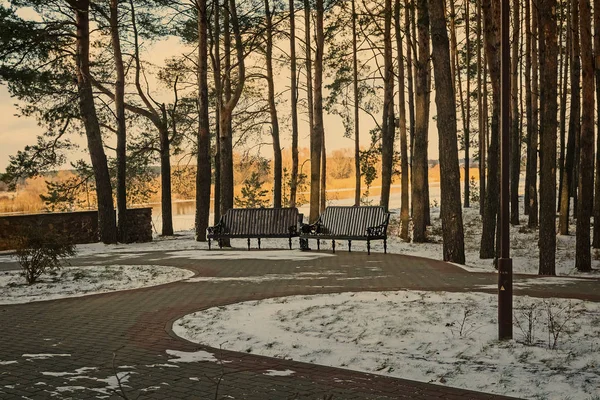 De eerste sneeuw in de vroege winter in het Park — Stockfoto