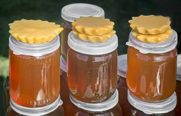 Разнообразие разновидностей медовухи в банках, выставленных на продажу в магазине — стоковое фото