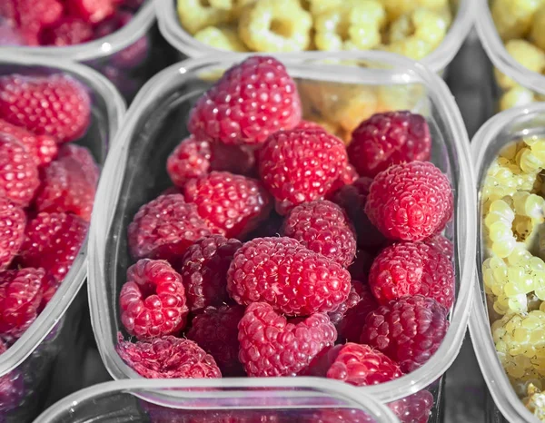 Raspberries in containers for sale. — Stock Photo, Image