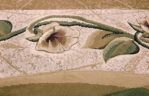 Arka Plan Görüntüsü Bir Çiçek Resmi Ile Halı Bölümü — Stok fotoğraf