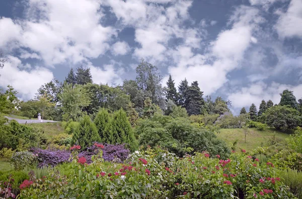 Een prachtig ingerichte ruimte van het arboretum. — Stockfoto