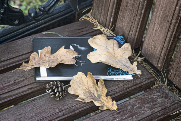 Livro e folhas caídas em um banco de parque . — Fotografia de Stock