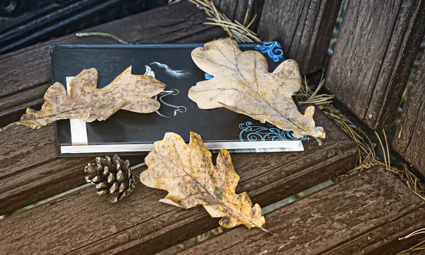 Livro e folhas caídas em um banco de parque . — Fotografia de Stock