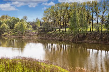Orman ile büyümüş bankalarla büyük güzel göl.