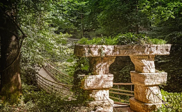 Pequena ponte suspensa no arboreto . — Fotografia de Stock