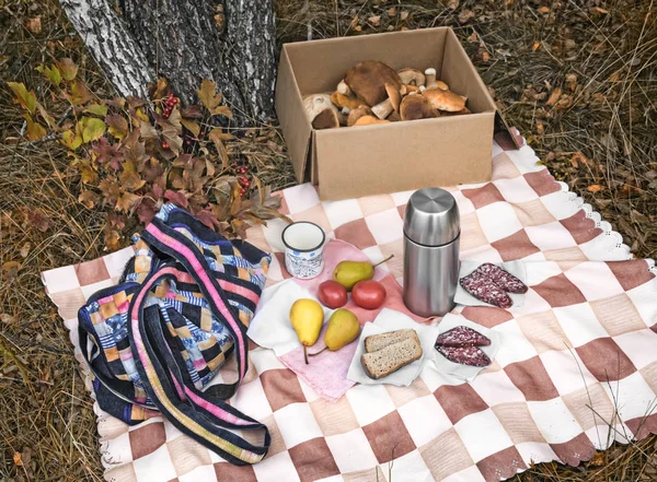 In the woods in a clearing on the tablecloth lies Breakfast: sausage, bread, coffee, fruit. Next in the box of harvested mushrooms.
