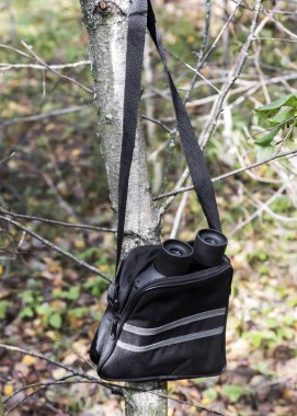 Dürbün ve sonbahar arka plan üzerinde büyük dürbün bırakır.