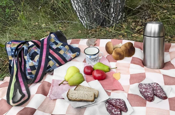 Breakfast in the woods while collecting mushrooms.