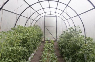 Küçük bir sera tarım tesisleri için.