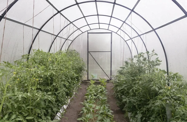 Küçük bir sera tarım tesisleri için.