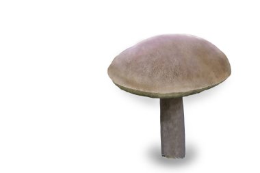 beyaz zemin üzerinde mantar çörek.