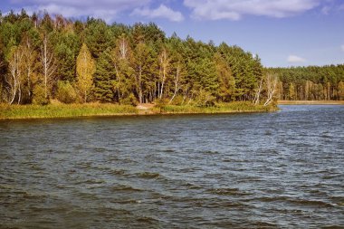 Beyaz kabarık bulutlar üzerinde mavi gökyüzü güneşli bir günde float..