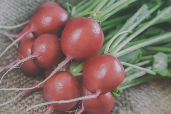 Sur Serviette Trouve Jeune Radis Poutre Aux Feuilles Vertes Présente — Photo