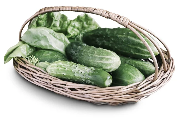 Een Witte Achtergrond Presenteert Jonge Groene Komkommers Een Rieten Mand — Stockfoto
